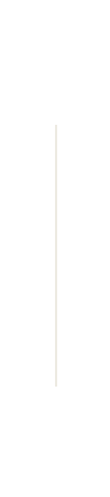 horizontal divider